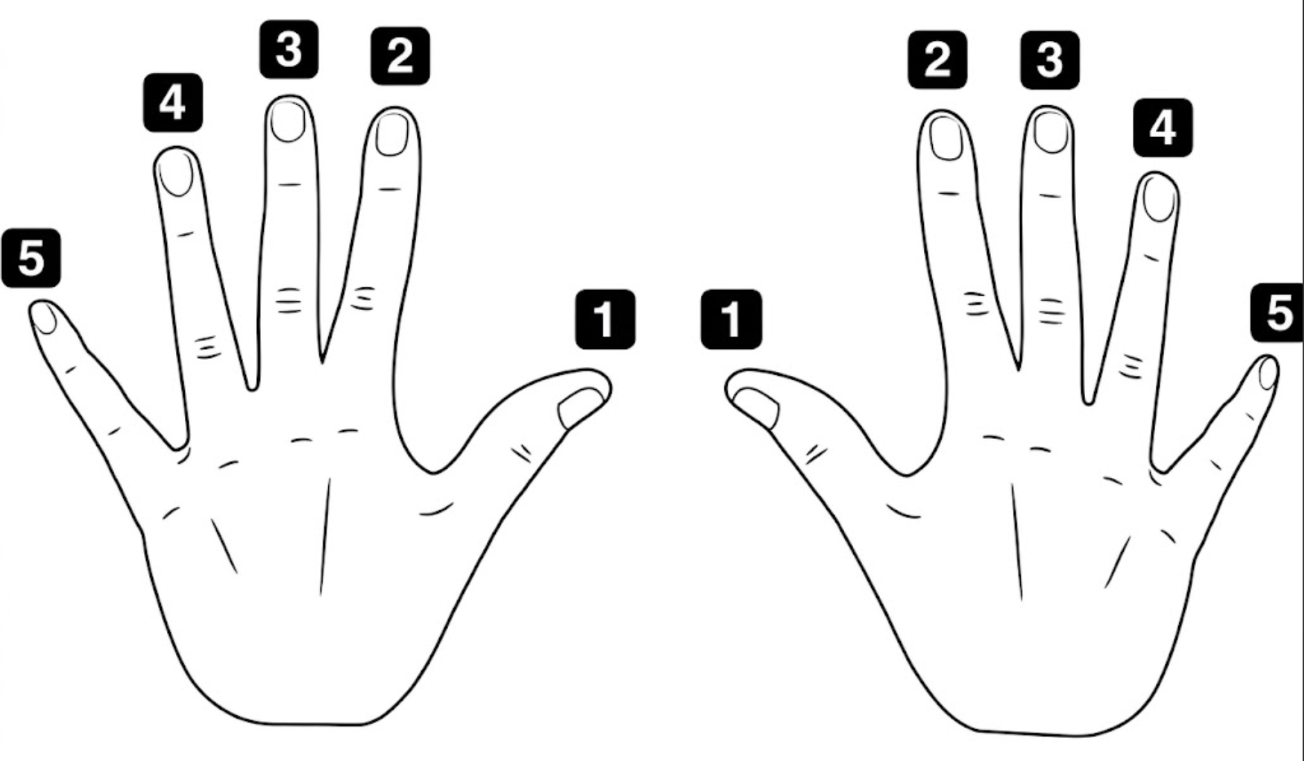 Finger numbering on both hands, thumbs 1 through pinkies 5